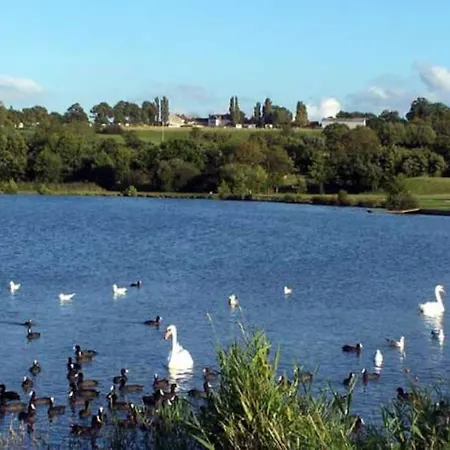 Avec Terrasse Proche *
