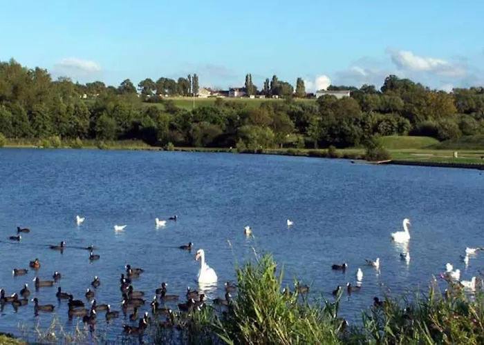 Avec Terrasse Proche *