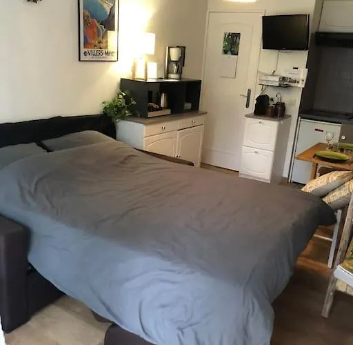 Avec Terrasse Proche Lägenhet Villers-sur-Mer